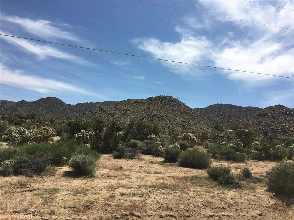 20 Acres of Land for Sale in Twentynine Palms, California