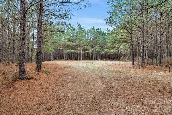 101 Acres of Recreational & Residential Land for Sale in Carlisle, South Carolina