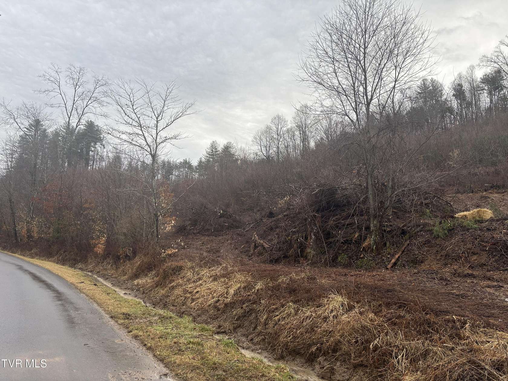 20 Acres of Land for Sale in Mountain City, Tennessee