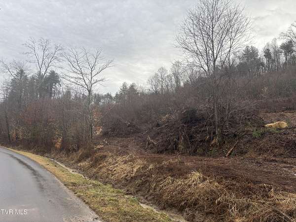 20 Acres of Land for Sale in Mountain City, Tennessee