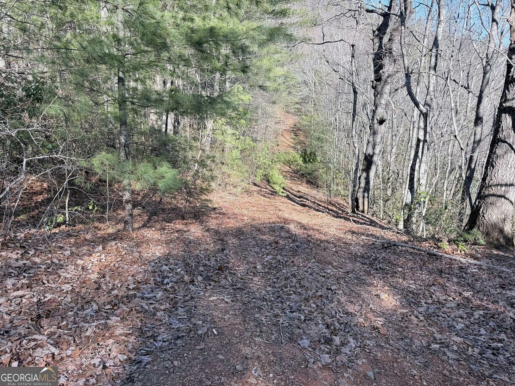 1.58 Acres of Residential Land for Sale in Lakemont, Georgia