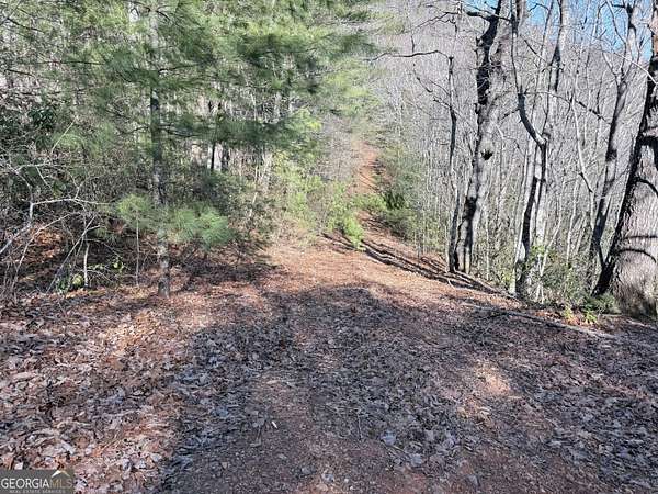 1.58 Acres of Residential Land for Sale in Lakemont, Georgia