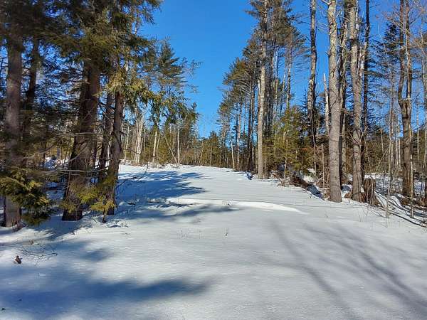 10.6 Acres of Land for Sale in Jefferson, Maine