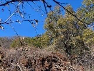 2.5 Acres of Land for Sale in Santa Anna, Texas