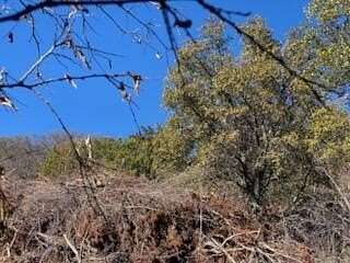 2.5 Acres of Residential Land for Sale in Santa Anna, Texas