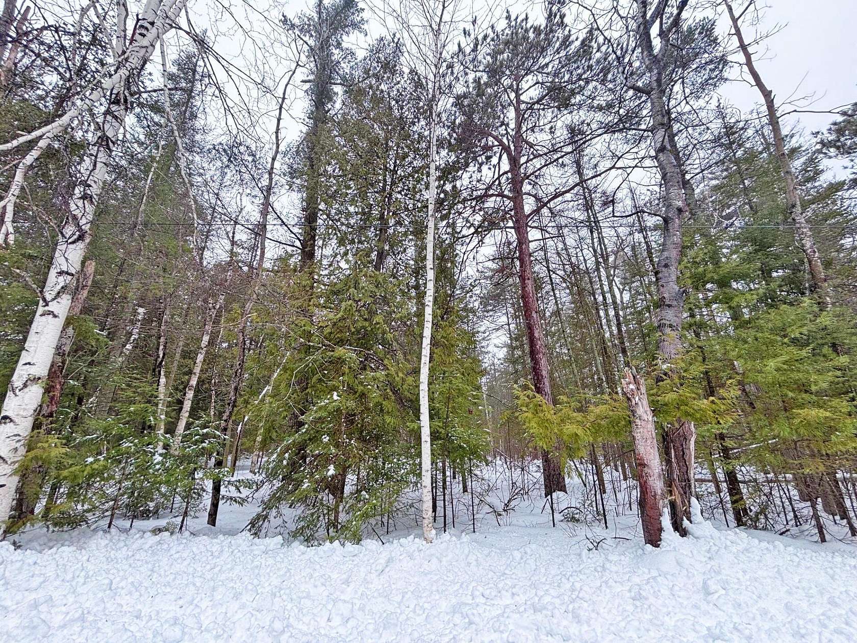 Residential Land for Sale in Presque Isle, Michigan