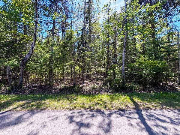 Residential Land for Sale in Presque Isle, Michigan
