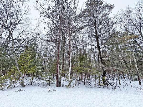 0.39 Acres of Residential Land for Sale in Presque Isle, Michigan