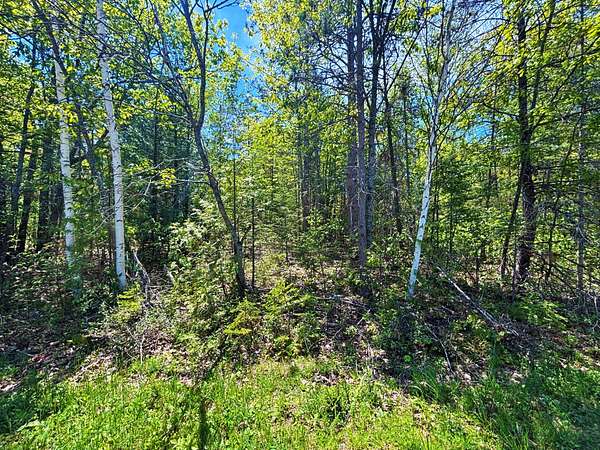 0.39 Acres of Residential Land for Sale in Presque Isle, Michigan