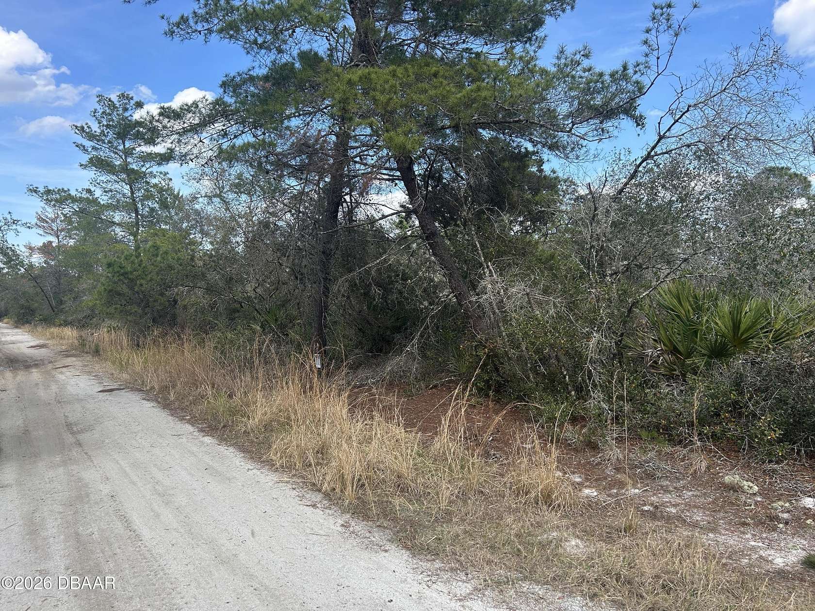 23 Acres of Recreational & Residential Land for Sale in Osteen, Florida