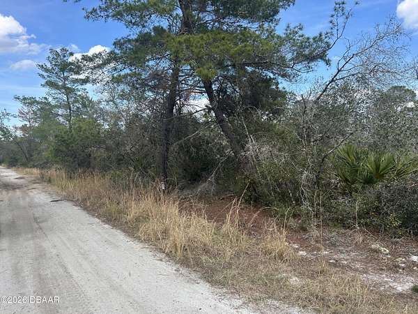 23 Acres of Recreational & Residential Land for Sale in Osteen, Florida