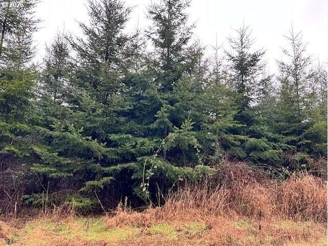 120 Acres of Recreational Land for Sale in Clatskanie, Oregon