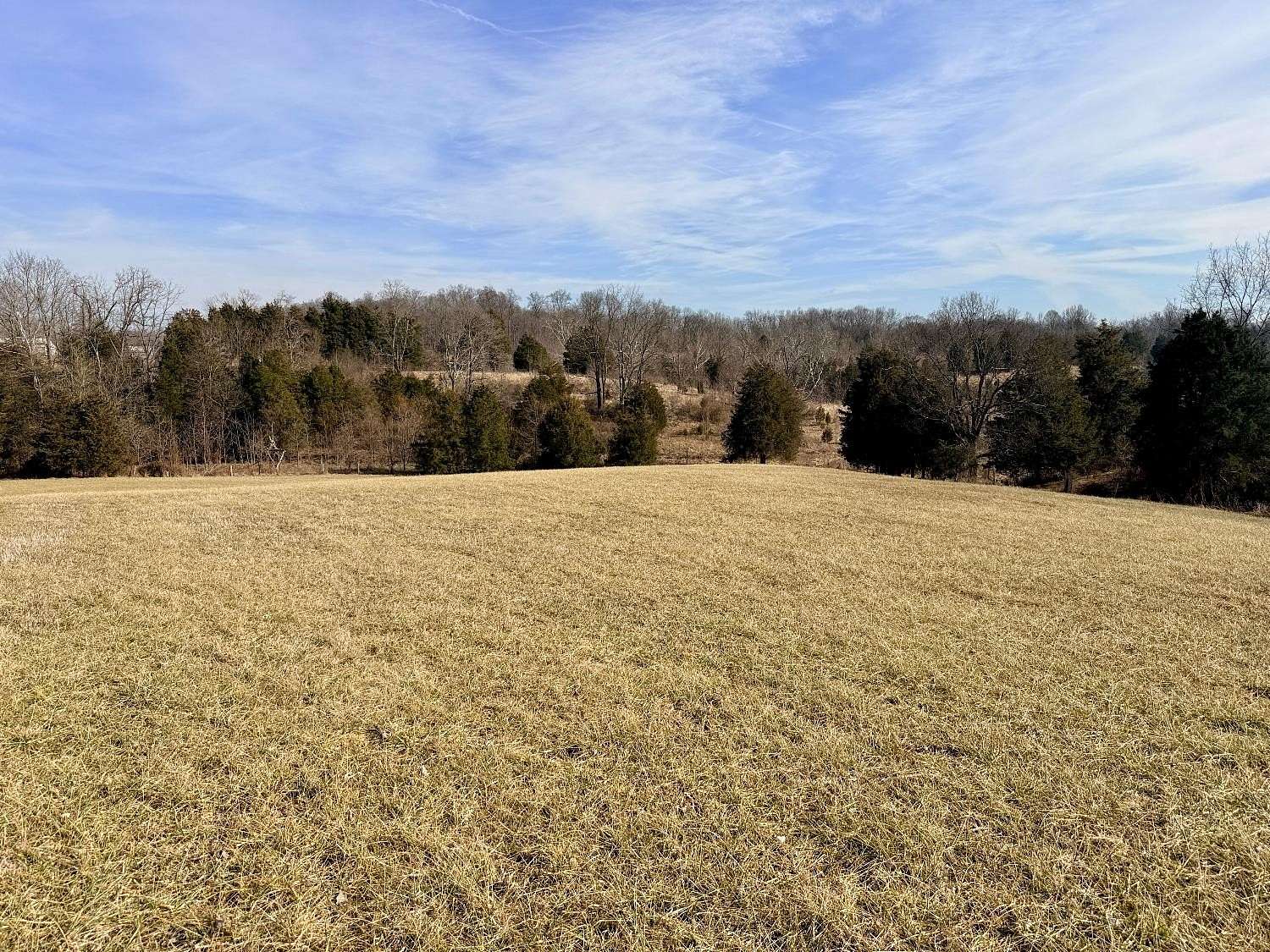46.8 Acres of Land for Sale in Cross Plains, Indiana