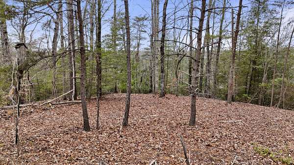 1.36 Acres of Residential Land for Sale in Zoe, Kentucky