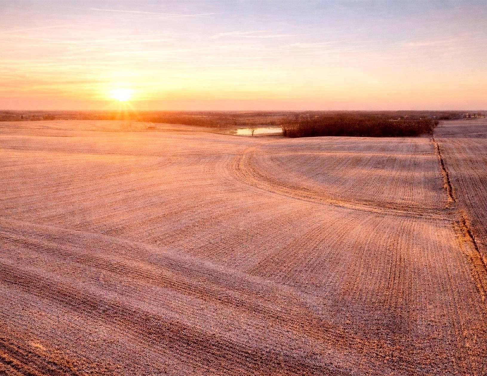 79.5 Acres of Agricultural Land for Auction in Marshalltown, Iowa