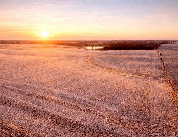 79.5 Acres of Agricultural Land for Auction in Marshalltown, Iowa