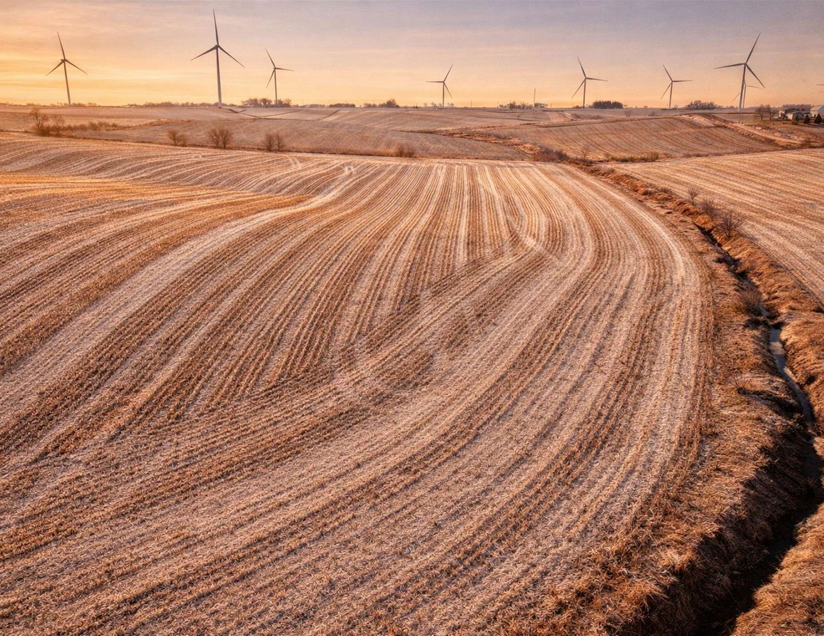 40 Acres of Agricultural Land for Auction in Laurel, Iowa