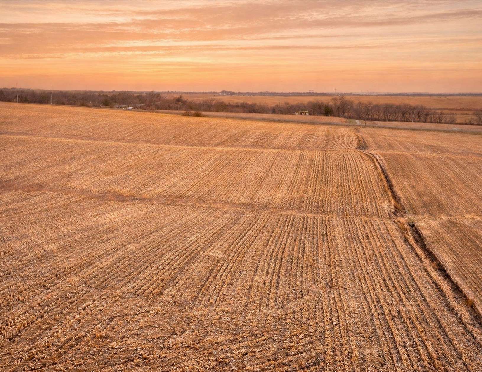 36.1 Acres of Agricultural Land for Auction in Laurel, Iowa
