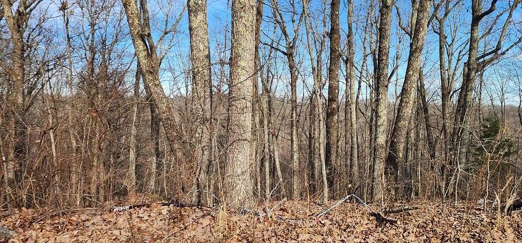 0.37 Acres of Residential Land for Sale in Holladay, Tennessee