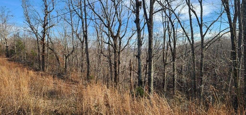 0.46 Acres of Residential Land for Sale in Holladay, Tennessee