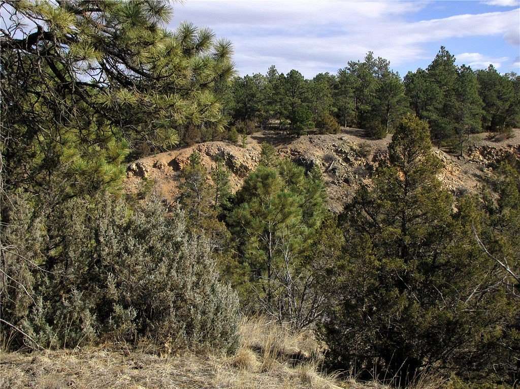 20.5 Acres of Recreational Land for Sale in Miles City, Montana