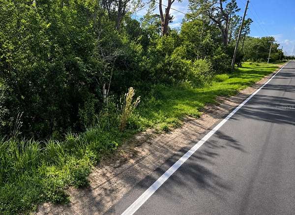 1.17 Acres of Land for Sale in Bartow, Florida
