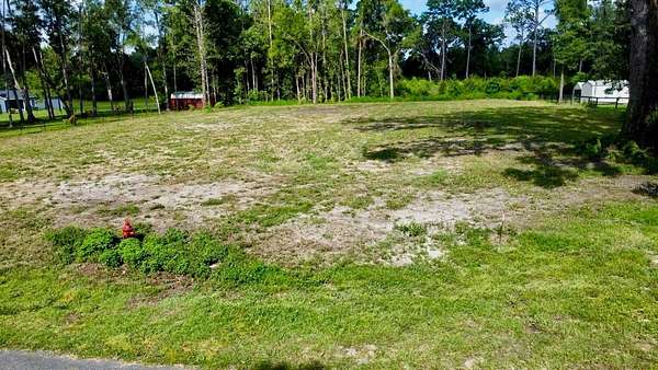 1 Acre of Residential Land for Sale in Williston, Florida