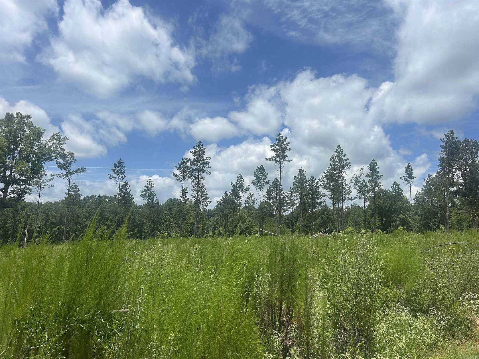 3.4 Acres of Land for Sale in Sheridan, Arkansas