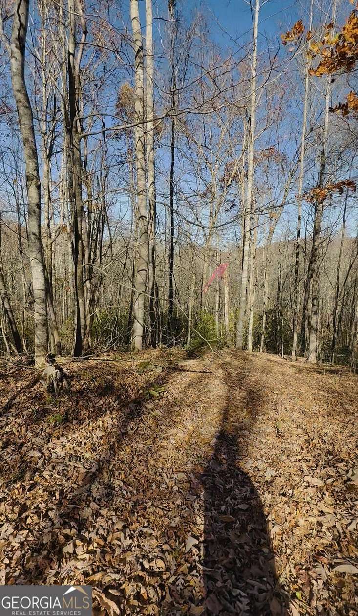 2 Acres of Residential Land for Sale in Sautee-Nacoochee, Georgia