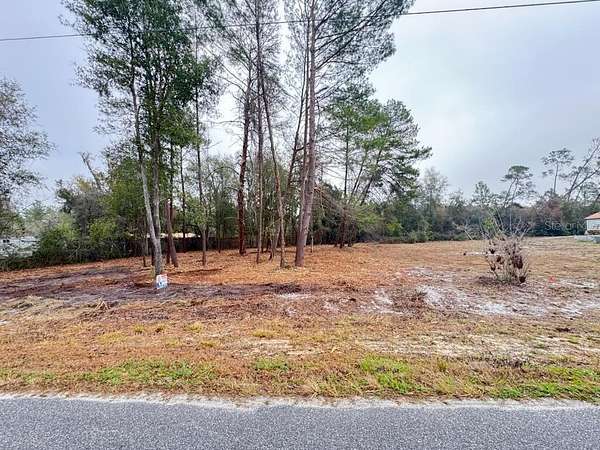 0.25 Acres of Residential Land for Sale in Paisley, Florida