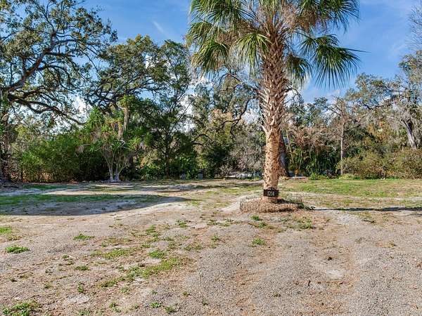 0.25 Acres of Residential Land for Sale in Tampa, Florida