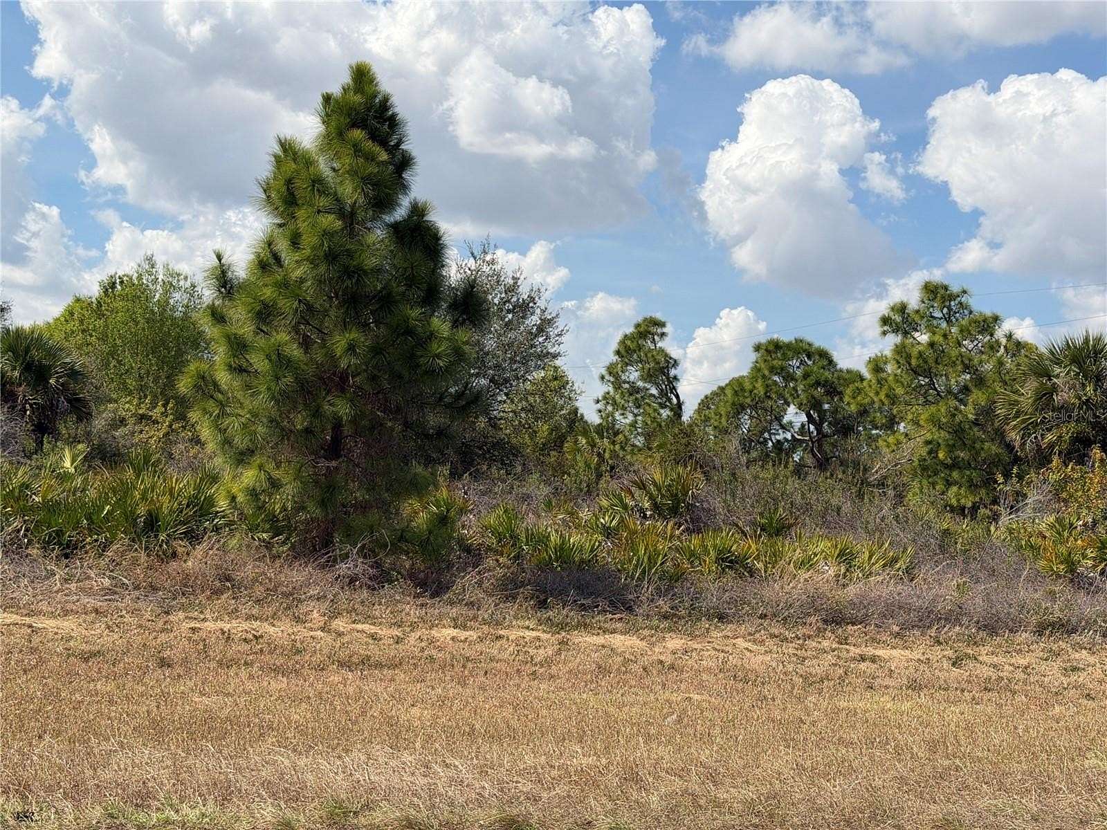 0.23 Acres of Residential Land for Sale in Lehigh Acres, Florida