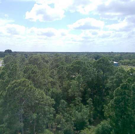 2 Acres of Residential Land for Sale in Citra, Florida