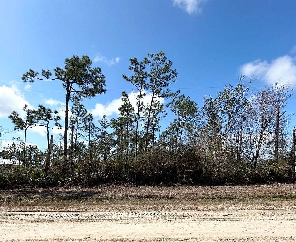 6.8 Acres of Land for Sale in Wewahitchka, Florida