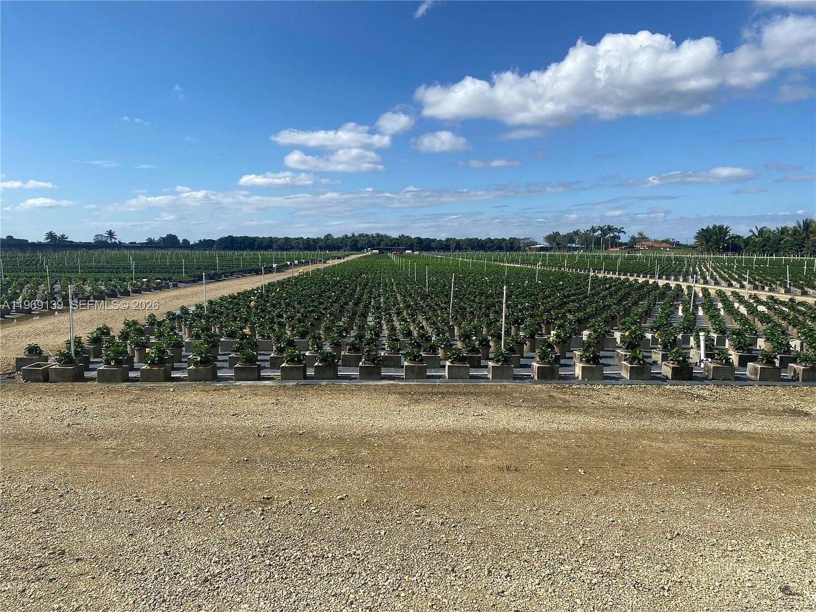 20 Acres of Land for Sale in Homestead, Florida