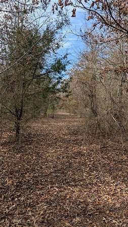 120 Acres of Recreational & Residential Land for Sale in Appleton, Arkansas