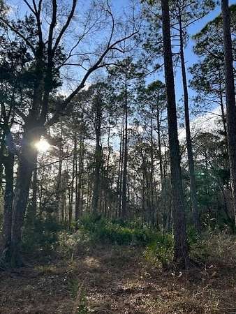 1 Acre of Land for Sale in Cross City, Florida