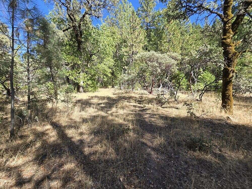 1.52 Acres of Residential Land for Sale in Oak Run, California