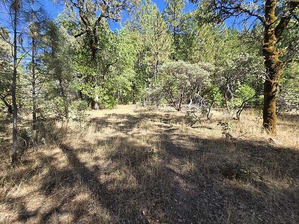 1.52 Acres of Residential Land for Sale in Oak Run, California