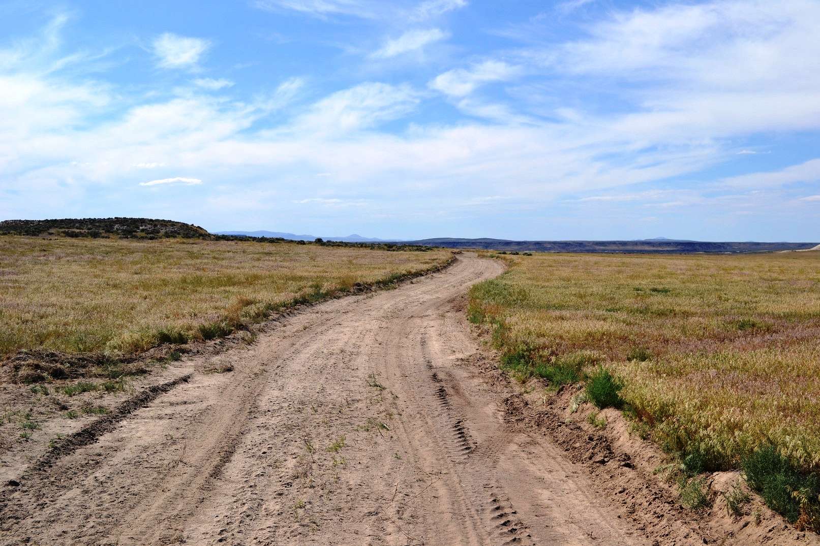 20 Acres of Recreational & Residential Land for Sale in Rome, Oregon