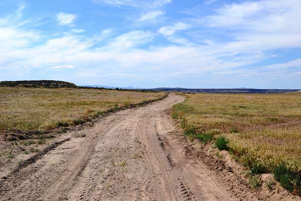 20 Acres of Recreational & Residential Land for Sale in Rome, Oregon
