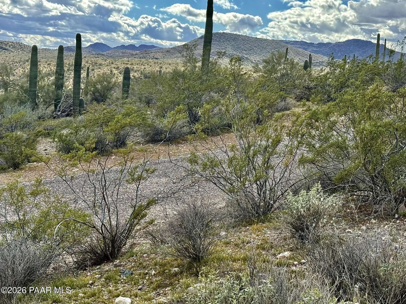3.73 Acres of Residential Land for Sale in Morristown, Arizona