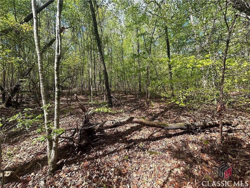 1 Acre of Residential Land for Sale in Martin, Georgia