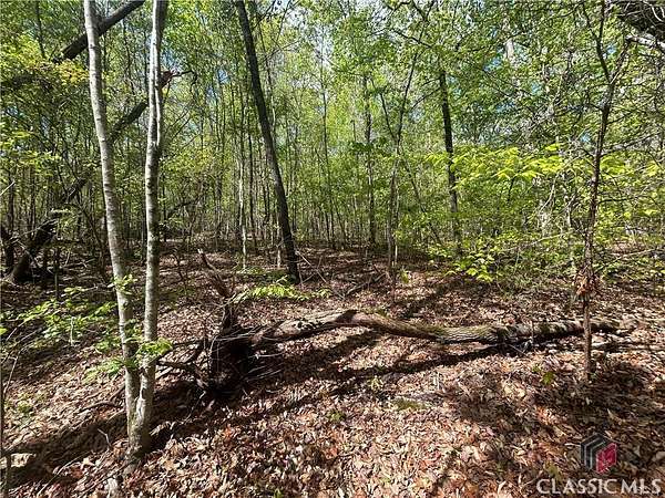 1 Acre of Residential Land for Sale in Martin, Georgia