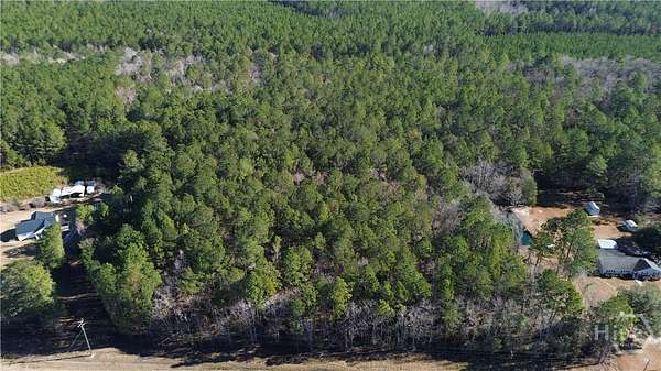 12.1 Acres of Land for Sale in Springfield, Georgia