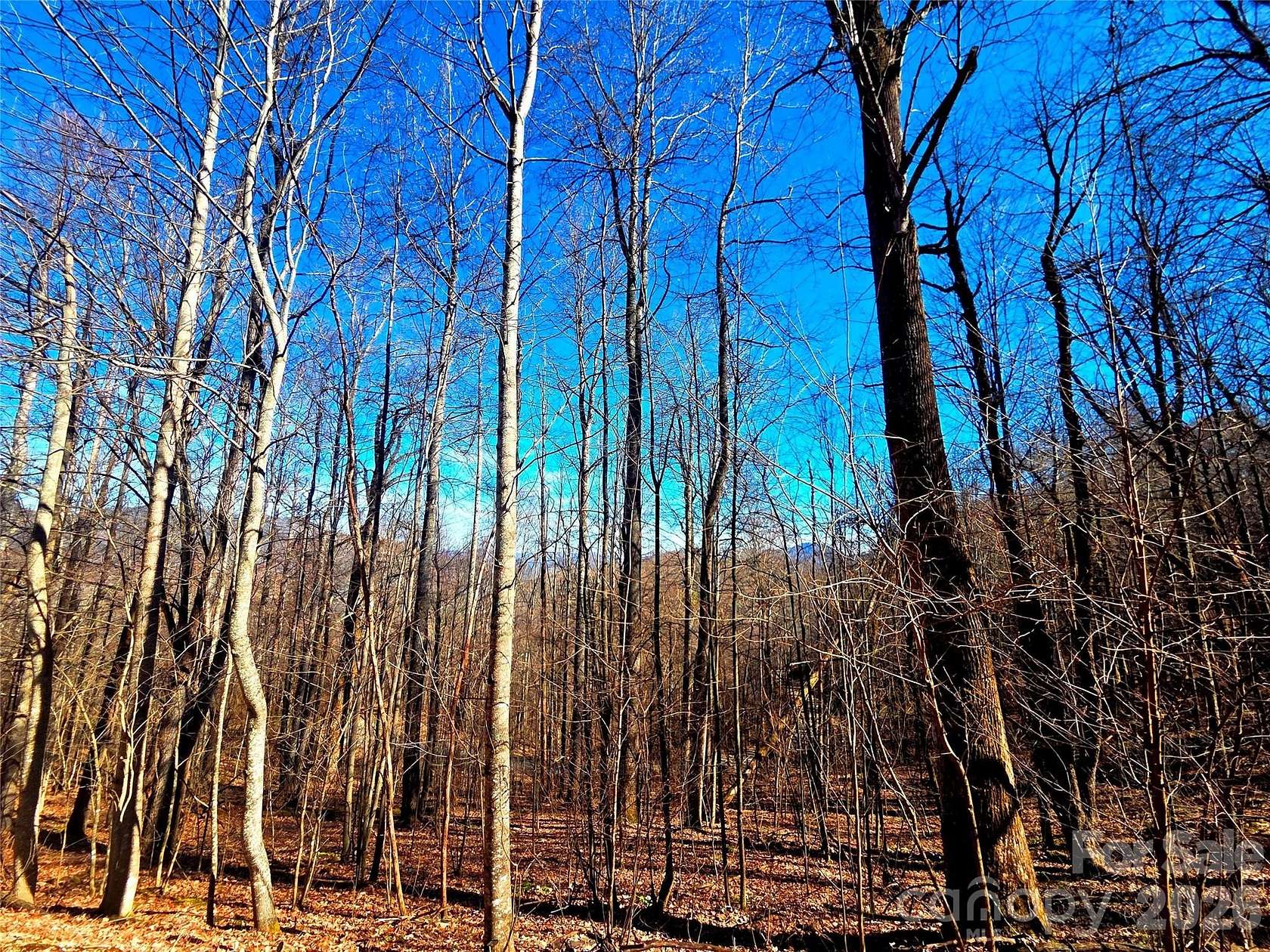 1.32 Acres of Residential Land for Sale in Waynesville, North Carolina