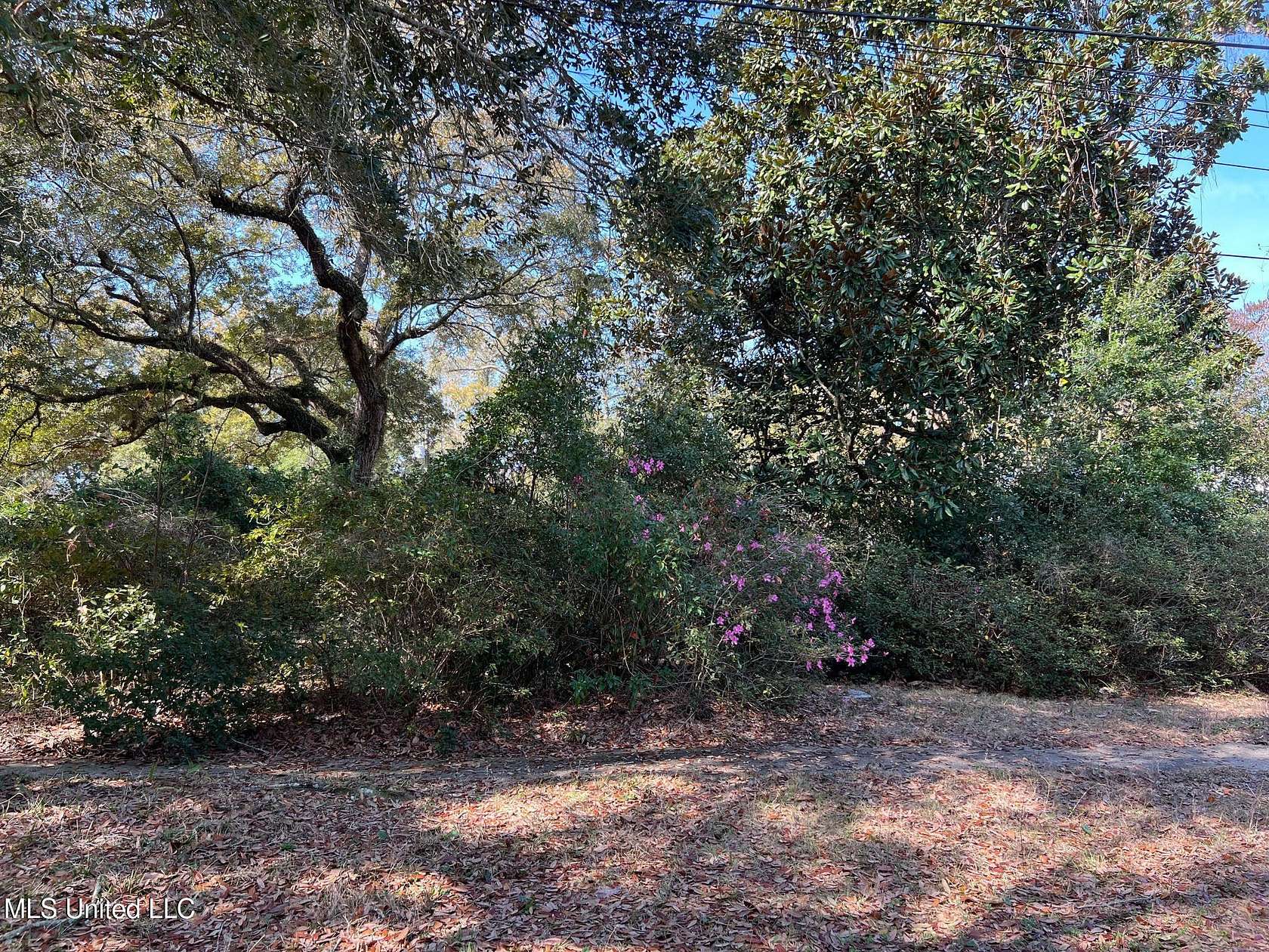 0.23 Acres of Residential Land for Sale in Pass Christian, Mississippi