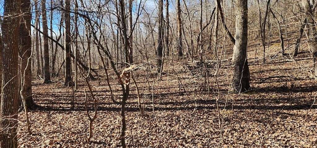 0.34 Acres of Residential Land for Sale in Holladay, Tennessee