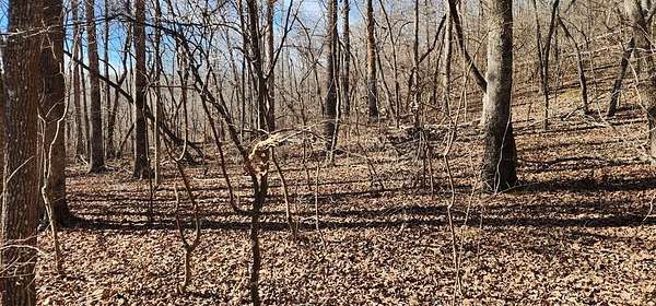 0.34 Acres of Residential Land for Sale in Holladay, Tennessee