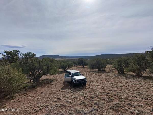39 Acres of Recreational Land for Sale in Concho, Arizona